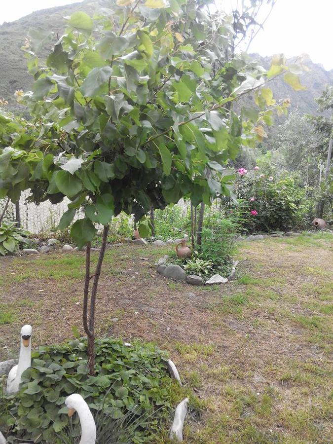 Villa Piano Mtsʼkhetʼa Extérieur photo